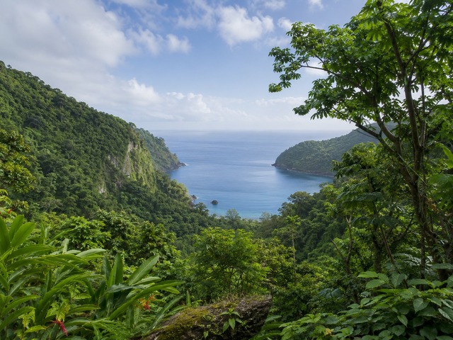Dominica volcanic coastline and rainforest